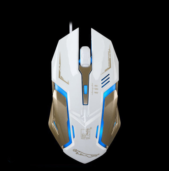 Wired Keyboard And Mouse Combo: The Perfect Pair for Every User